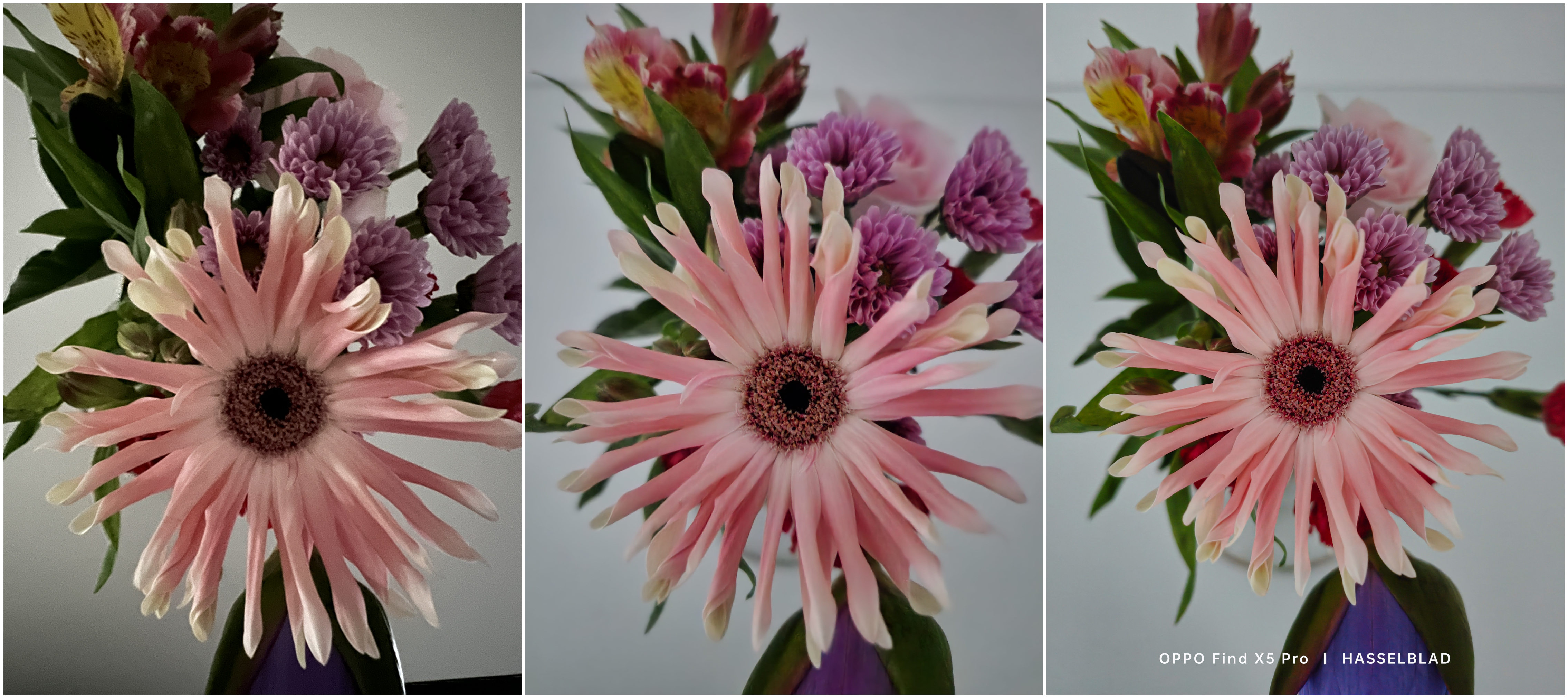 双芯加持的findx5pro,findx5pro是混合变焦还是光变