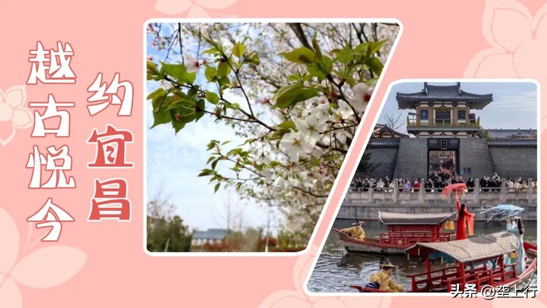 湖北春季赏花攻略十大赏花路线,叮你有一份礼物请查收音频