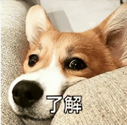 津心办信息可以更改吗,津心办怎么修改信息