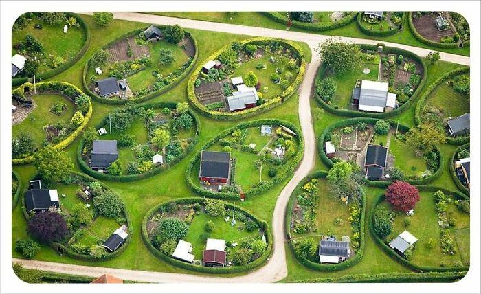 克林顿布什奥巴马合影,克林顿希拉里老照片