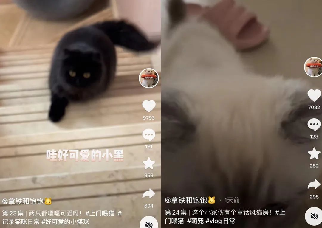 女性上班族靠谱的副业兼职,适合女生做的5个零门槛兼职副业