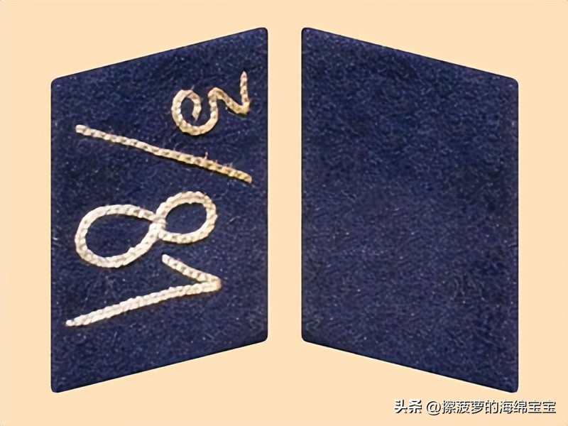 纳粹冲锋队用的什么枪,纳粹德军军衔图解