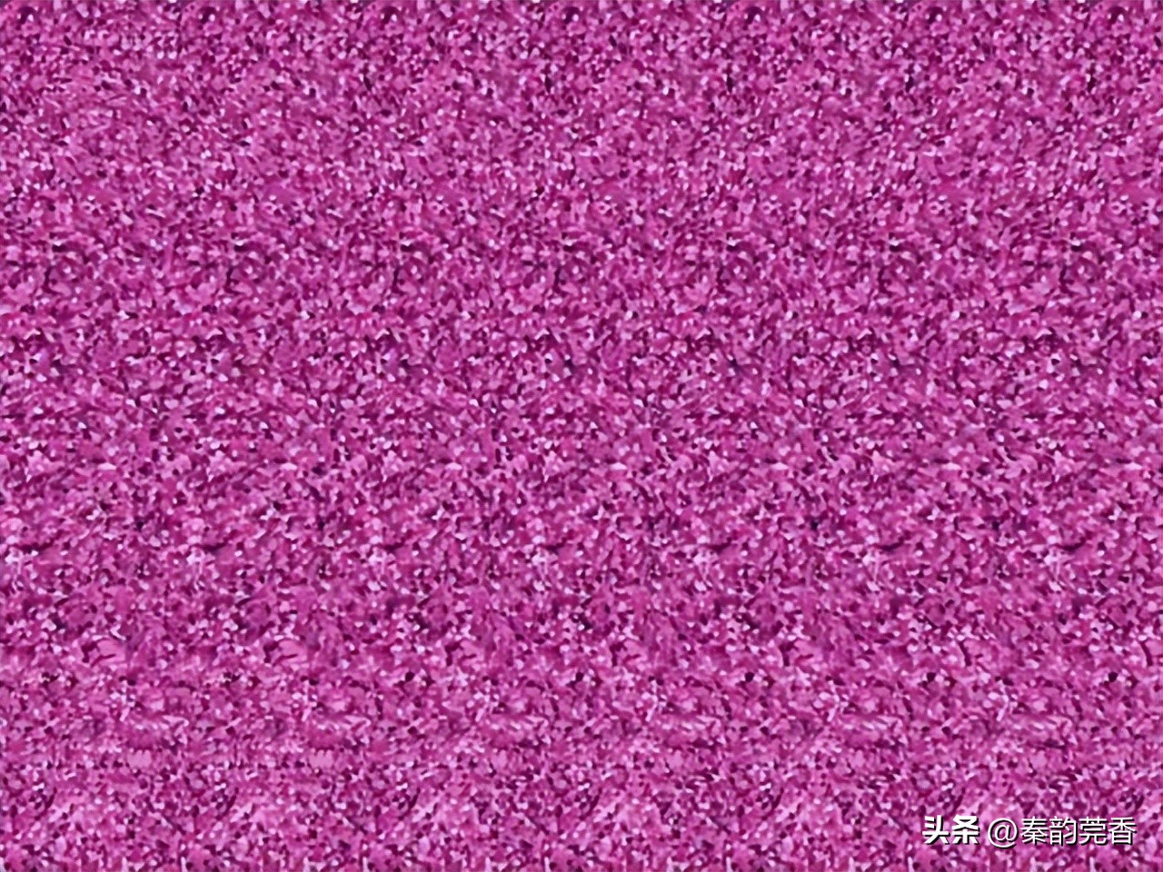 三维立体图怎么才能更快的看出来,怎么看三维立体图大全