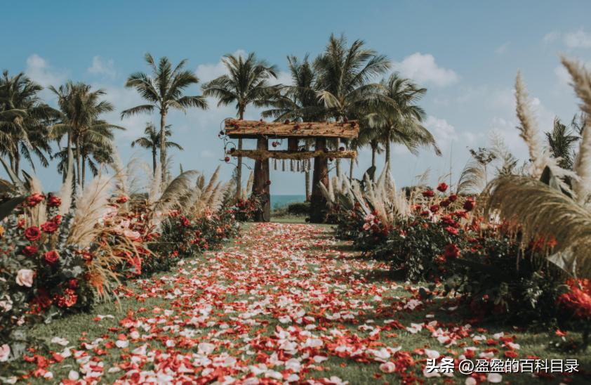 国内适合旅行结婚,有哪些适合旅行结婚的国家