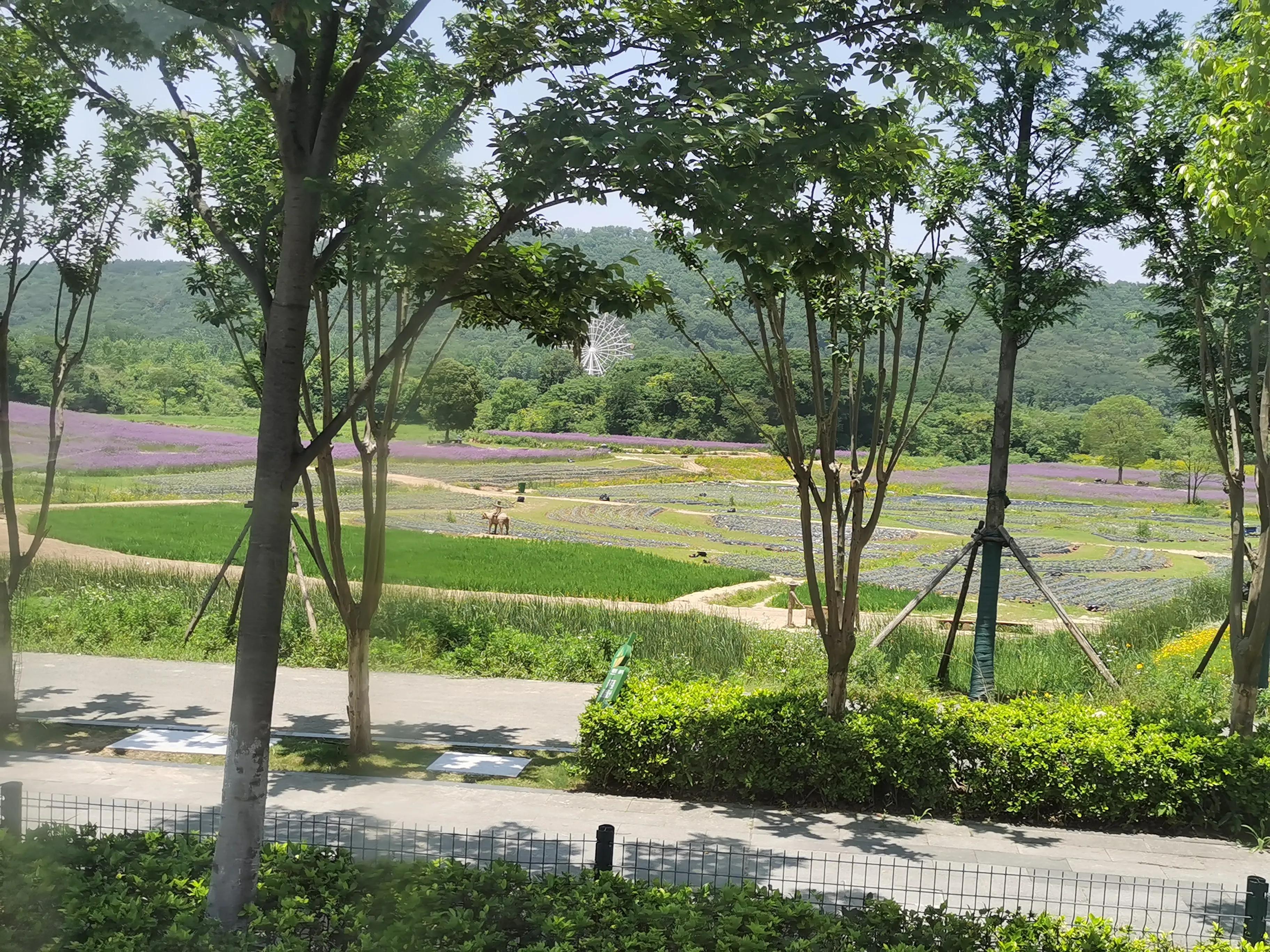 诗歌｜陈振家：《流水赋》