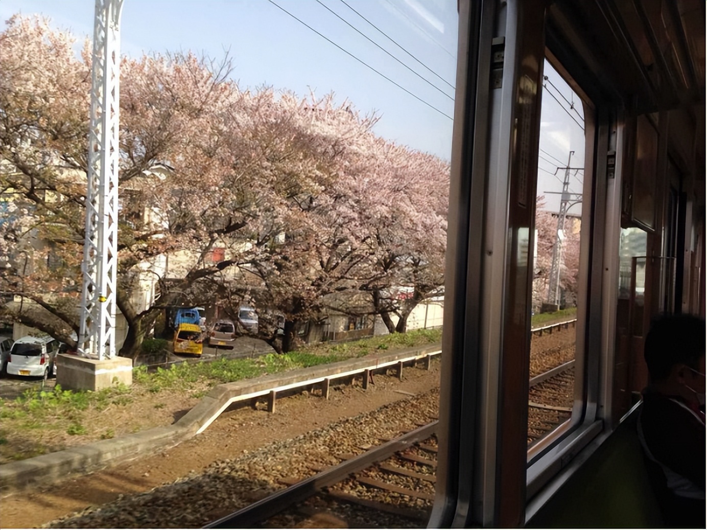 涓浗鐧惧瑙傜偣,鐧惧瑙傜偣