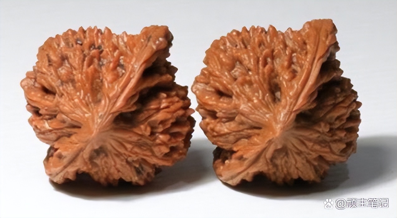 玩核桃必须要配对很完美吗,玩核桃玩几对最好