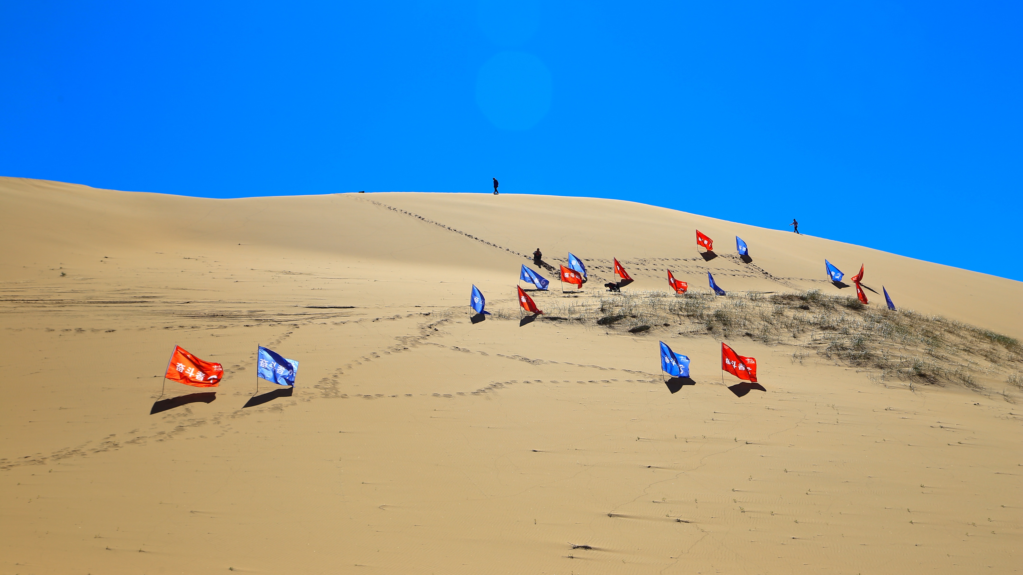 一份亲自实践了的团建攻略,团建必备的十大项目