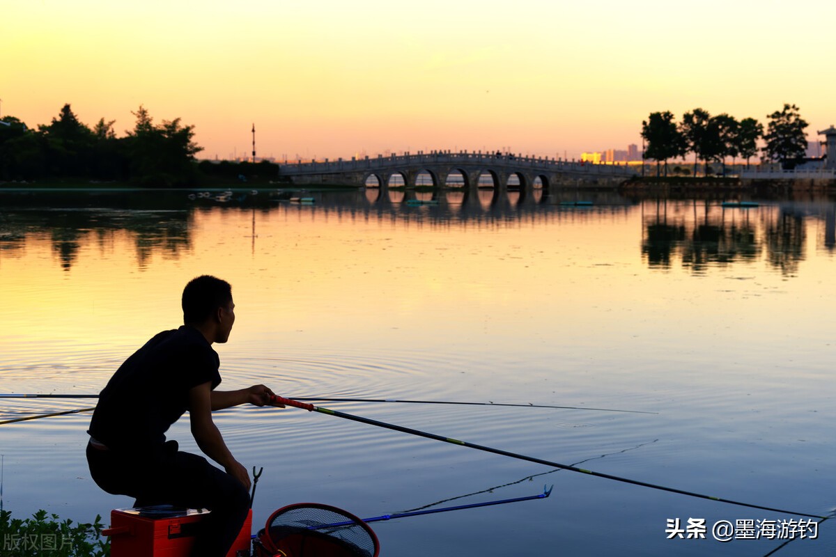 买鱼竿避坑指南,买鱼竿避免踩坑的方法