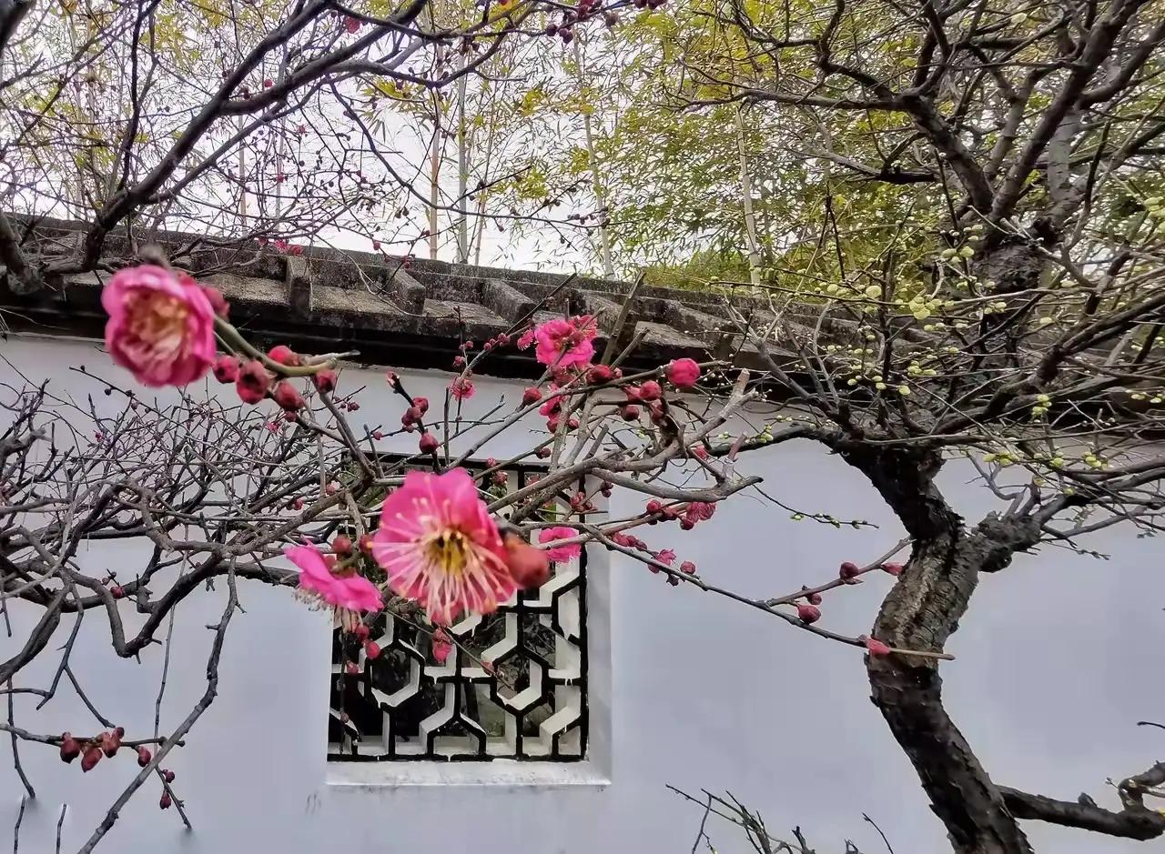 七绝春日二首原创,春日七绝诗十首