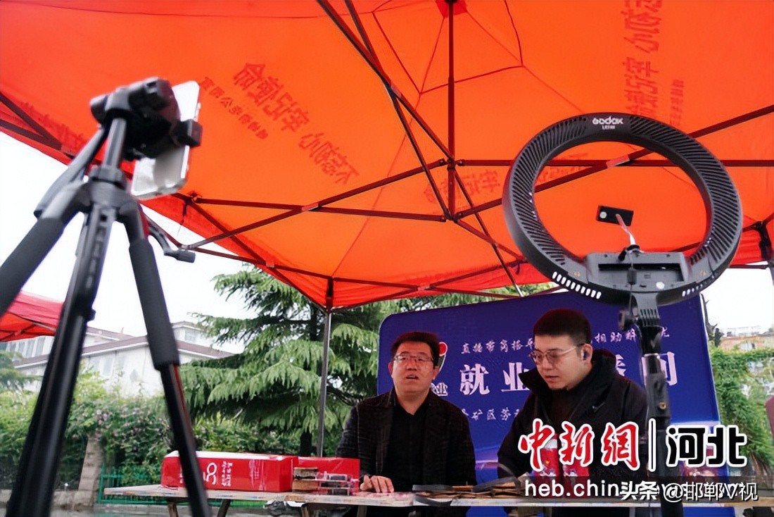 邯郸市峰峰矿区2020人才引进,邯郸市峰峰矿区人才引进