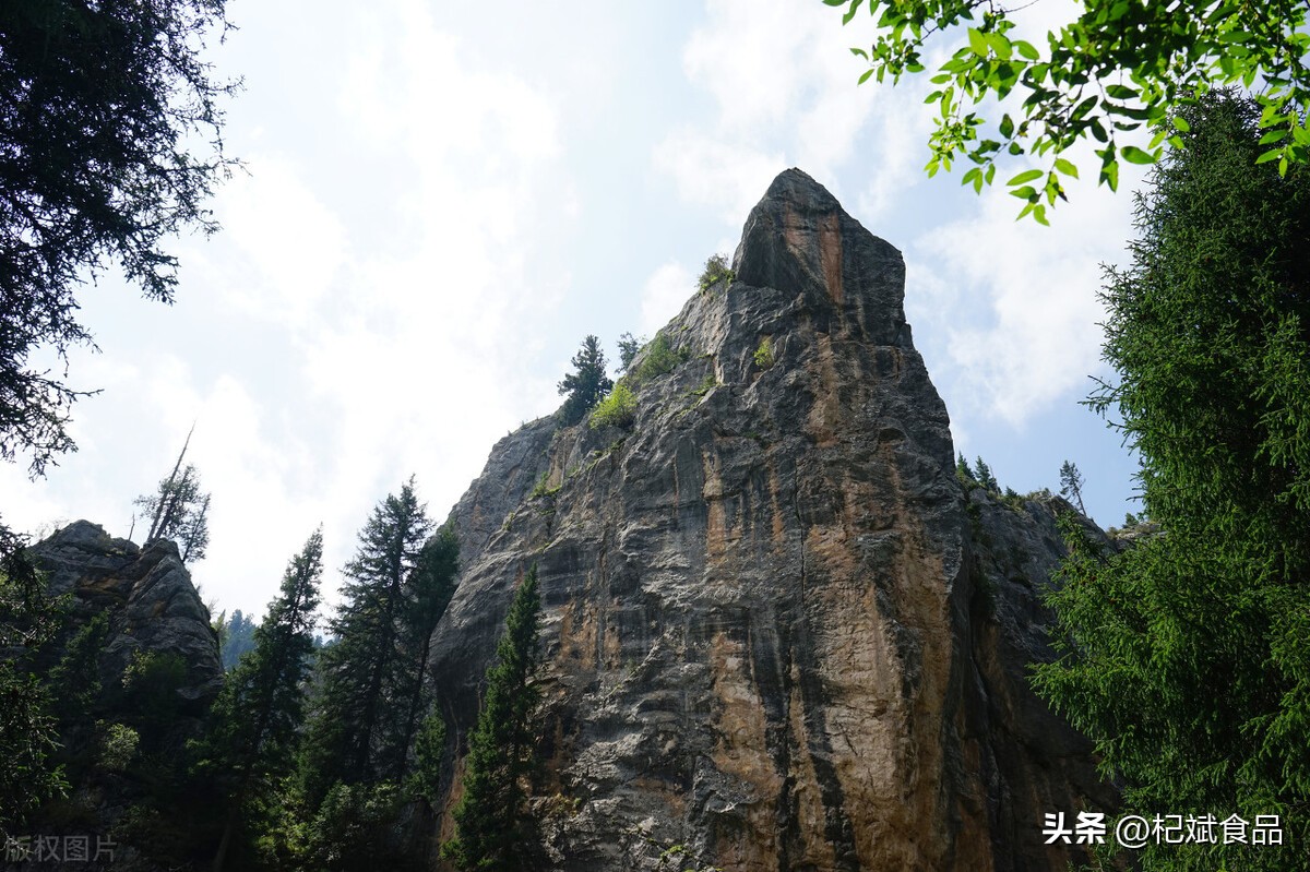 甘南大峪沟则岔石林,畅游甘肃青海西藏新疆
