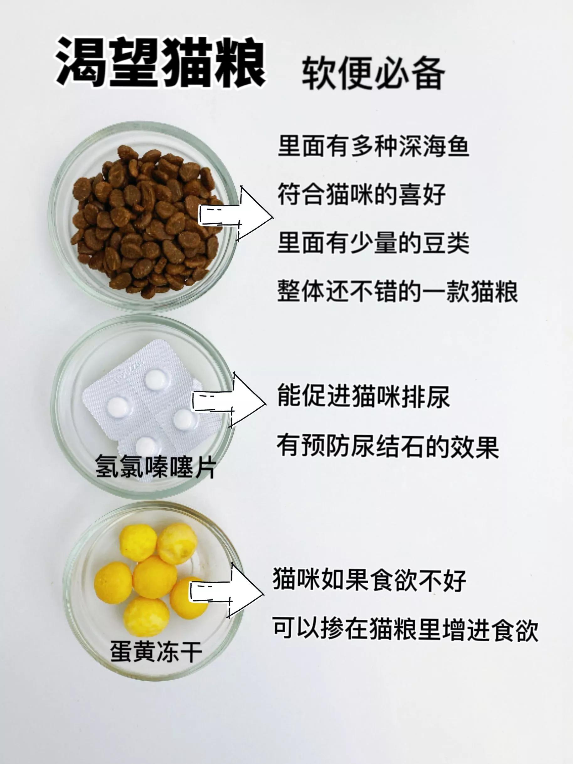 自用猫粮分享新手选粮不踩雷,猫粮囤货现场