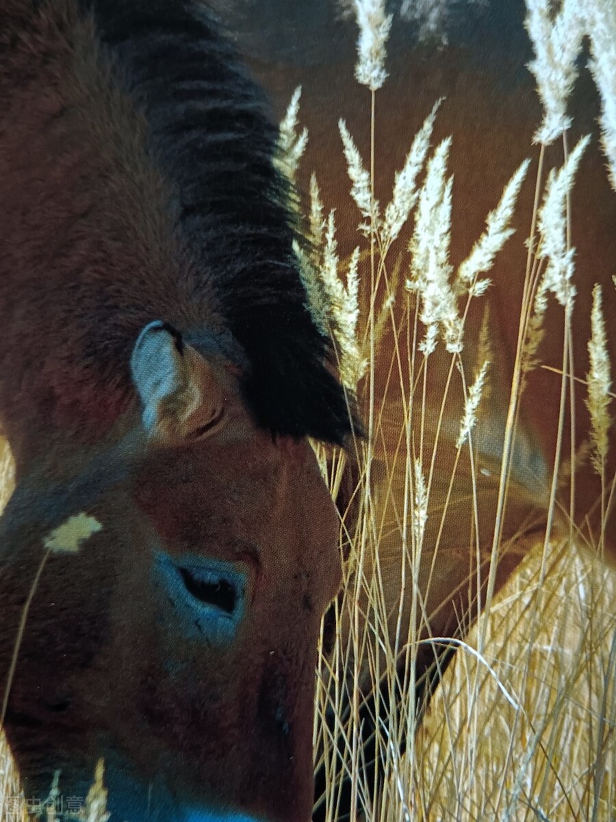 中国景观有多惊艳？这33个，去过一半，此生无憾，你去过哪几个？