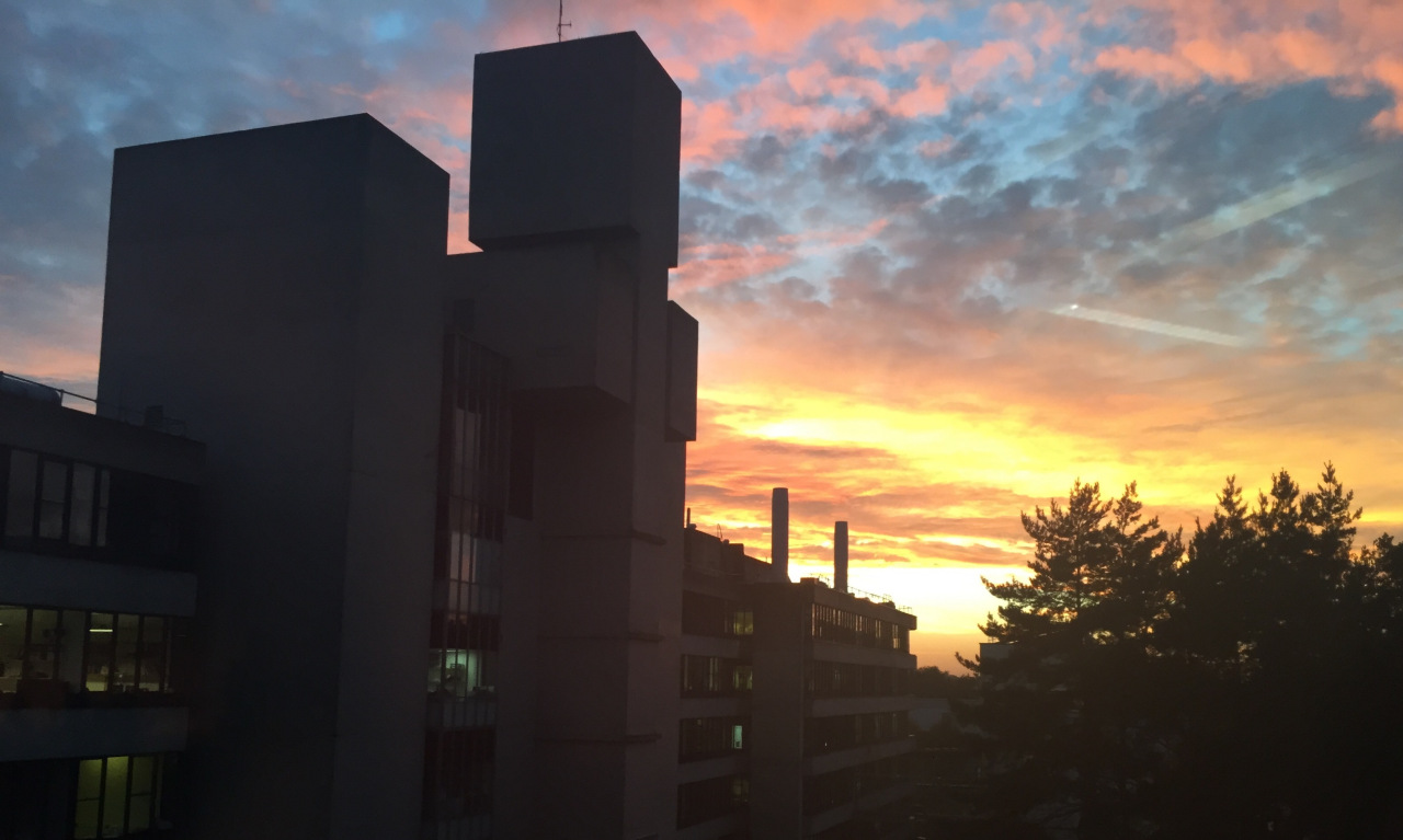 东英吉利大学属于什么档次,东英吉利大学专业