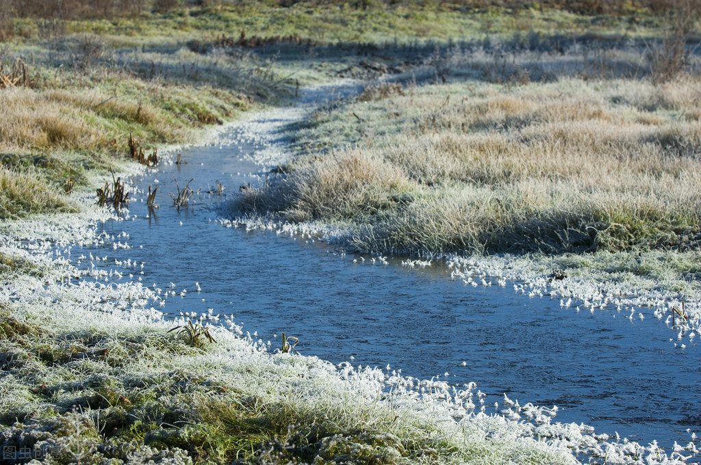 10个冷门却惊艳的小众成语,100个冷门惊艳的成语图片