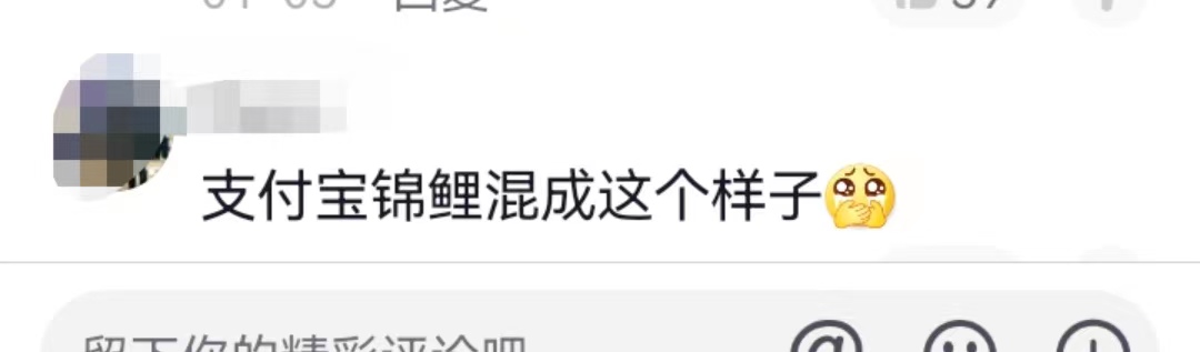 支付宝1亿锦鲤女孩现状,支付宝锦鲤大奖后续