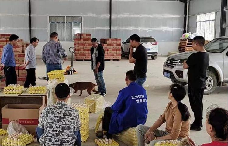 公司+合作社+农户阳新退伍军人回乡创立乡村振兴田园综合体