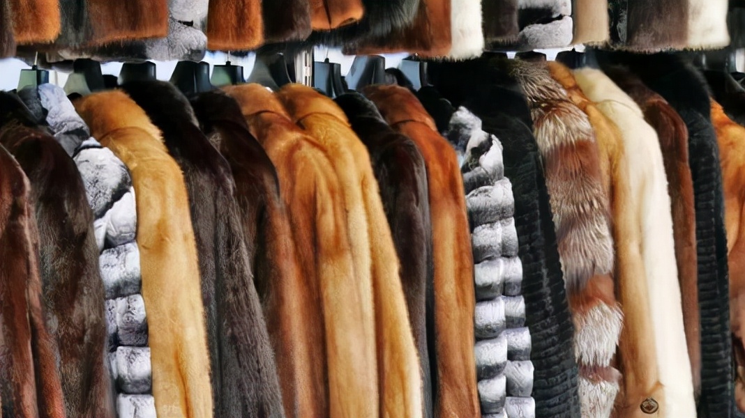 为什么穿皮草的人越来越少,为什么现在穿大衣的人越来越少了