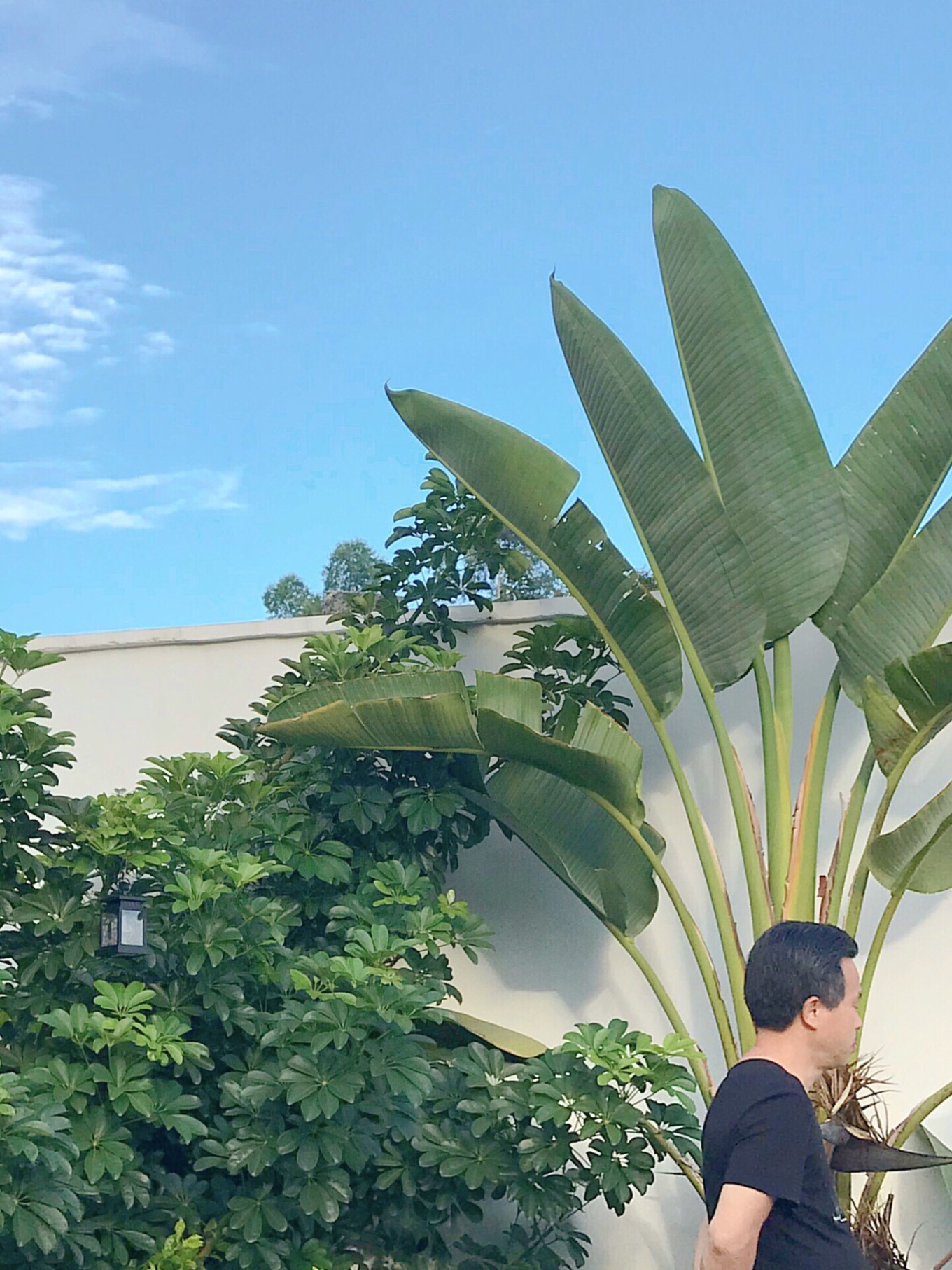 带你玩转北海涠洲岛最全攻略,带你去看海涠洲岛3天2晚行程推荐