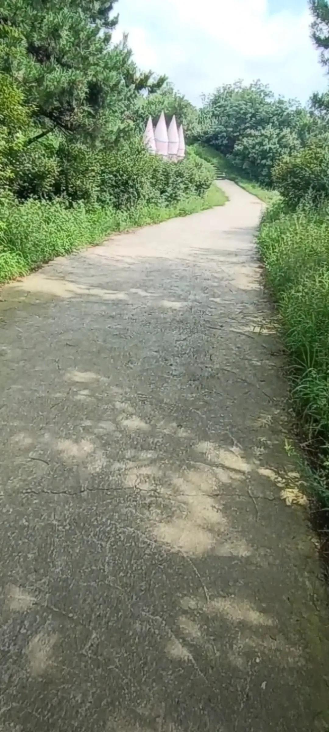 梦幻城堡礼物多少钱,梦幻城堡别墅