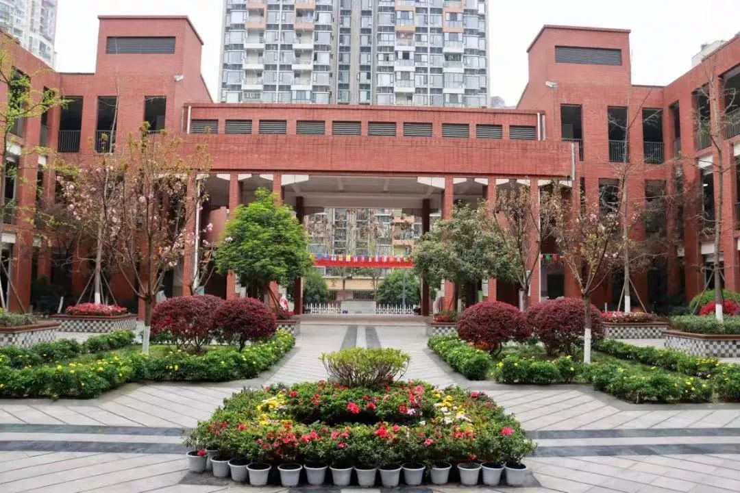 盘点一下成都排名前十小学,成都5朵金花哪个初中好