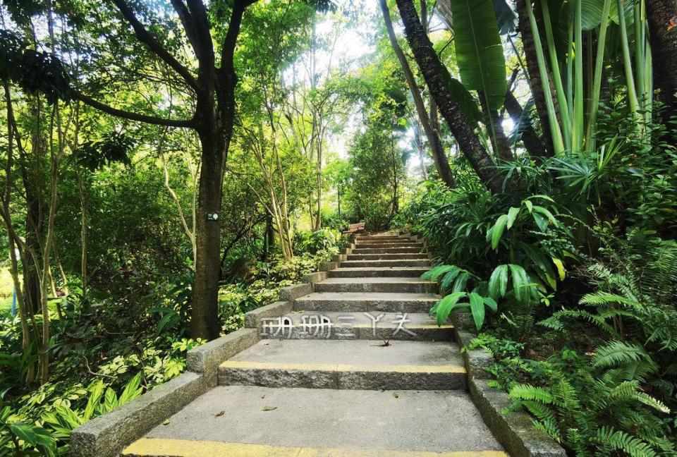 香港一日行攻略自由行省钱,从广州坐船去香港
