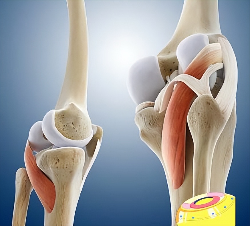 中年妇女膝盖疼痛咯吱响怎么治疗,中年妇女膝盖弯曲疼是怎么回事