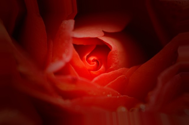 一个长期不换微信头像的男人,一直不换微信名字的人