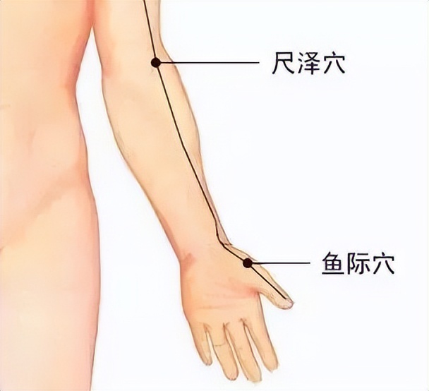 中医必知81个特效穴,一病一穴学中医必知的81个特效穴