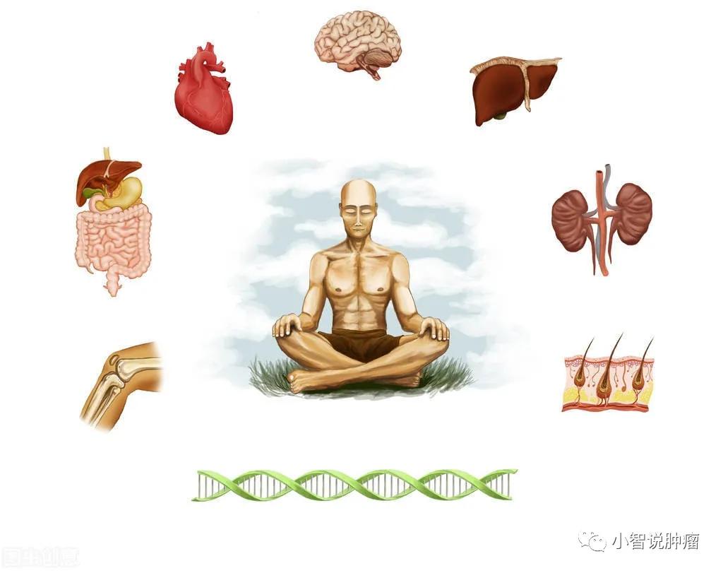 吃夜宵有营养吗,吃夜宵有多爽