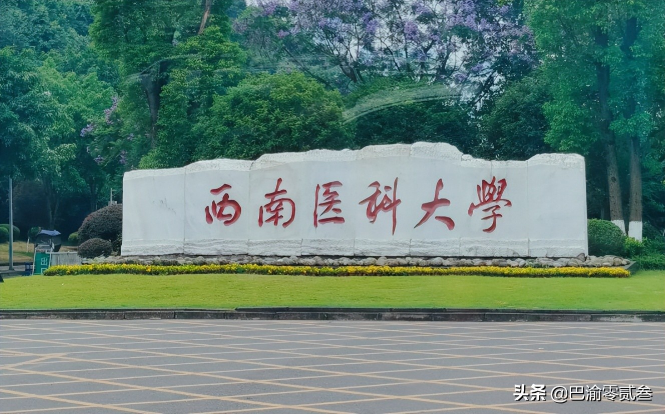 四川美术学院收不收港澳生,四川美术学院不能迁回四川吗