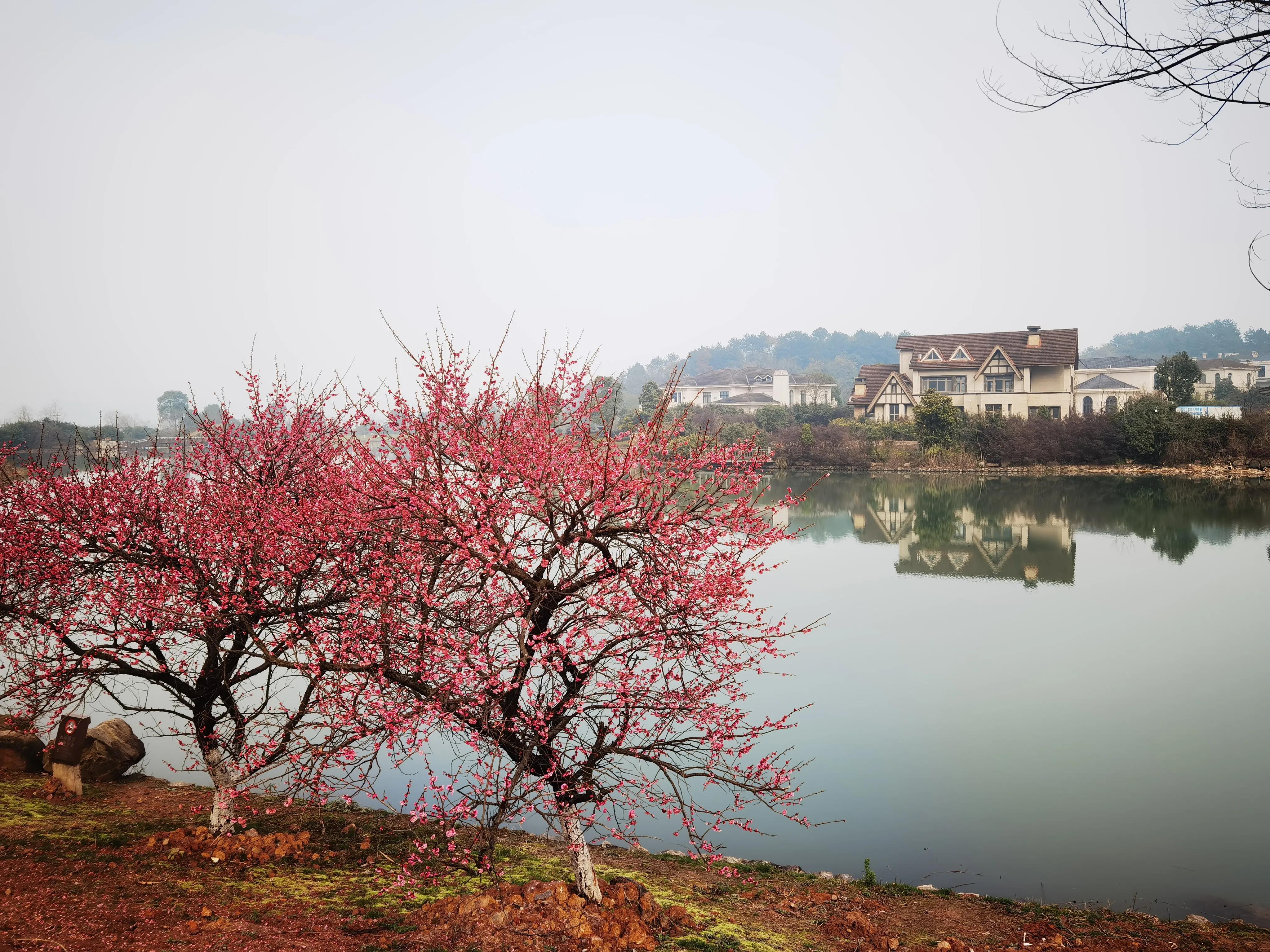 宁波明湖后花园,宁波东钱湖游客