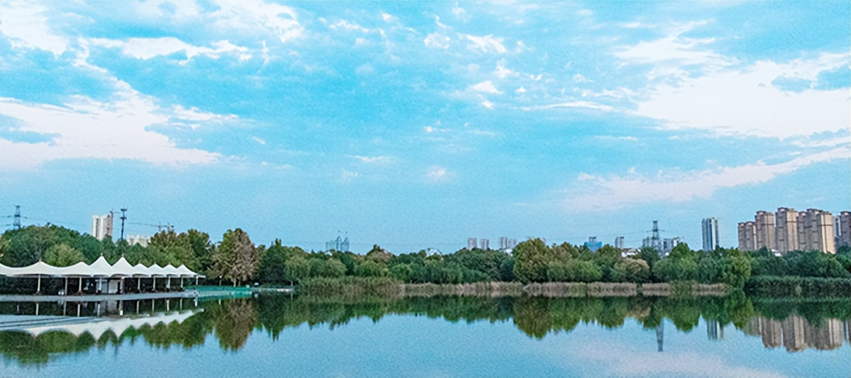 【我喜欢的小动物】王淑迪《我的动物朋友——小仓鼠》（三十六）