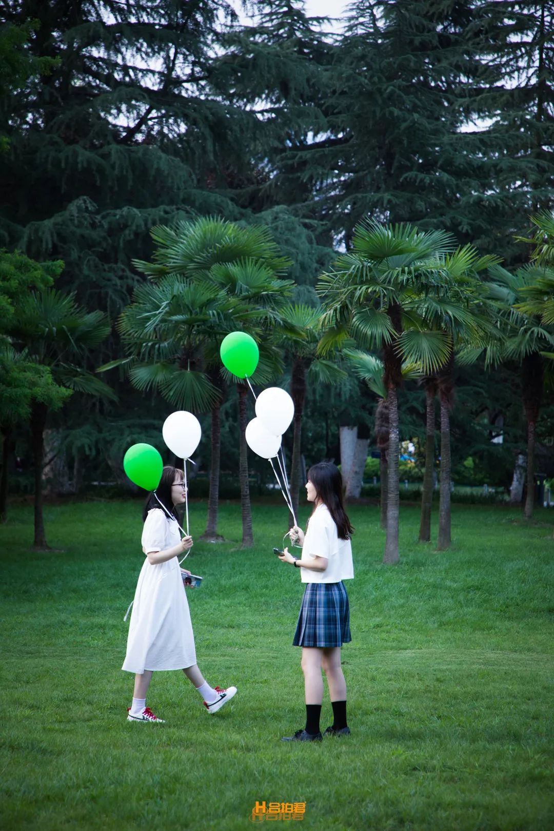 合肥之夏进度1%，期待的N个理由