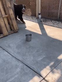 女厕的诡异事件,诡异女厕