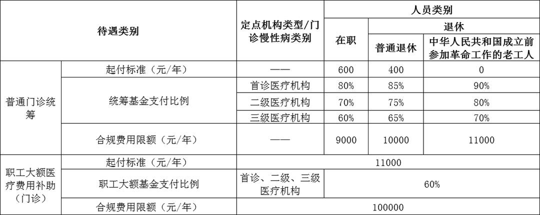 2023年度的医疗保险政策,2024职工医疗保障待遇政策