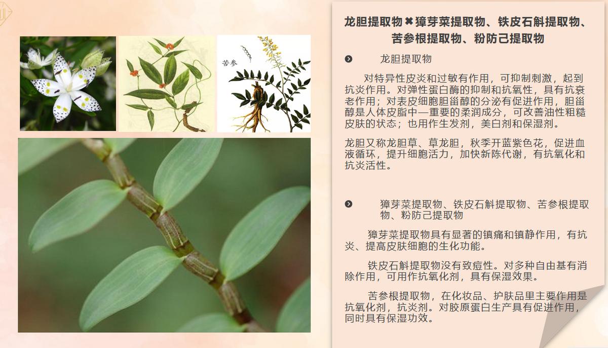 鎯熸効鏃跺厜娓╂煍浼翠綘,鎯熸効鏃跺厜娓╂煍浠ュ緟