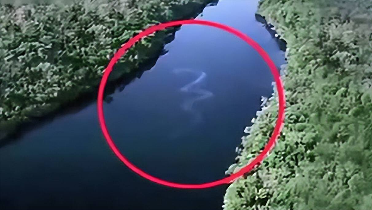 为什么人们不敢在亚马逊河游泳,亚马逊河究竟有多可怕为何没有桥