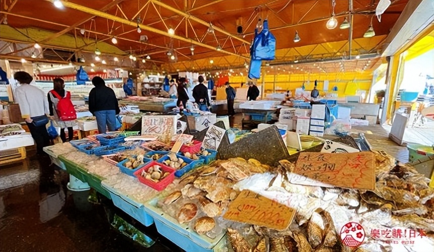 茨城旅行,茨城和茨城县