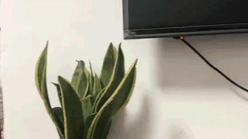 住酒店如何防止摄像头被偷,检查酒店房间是否被偷摄像头