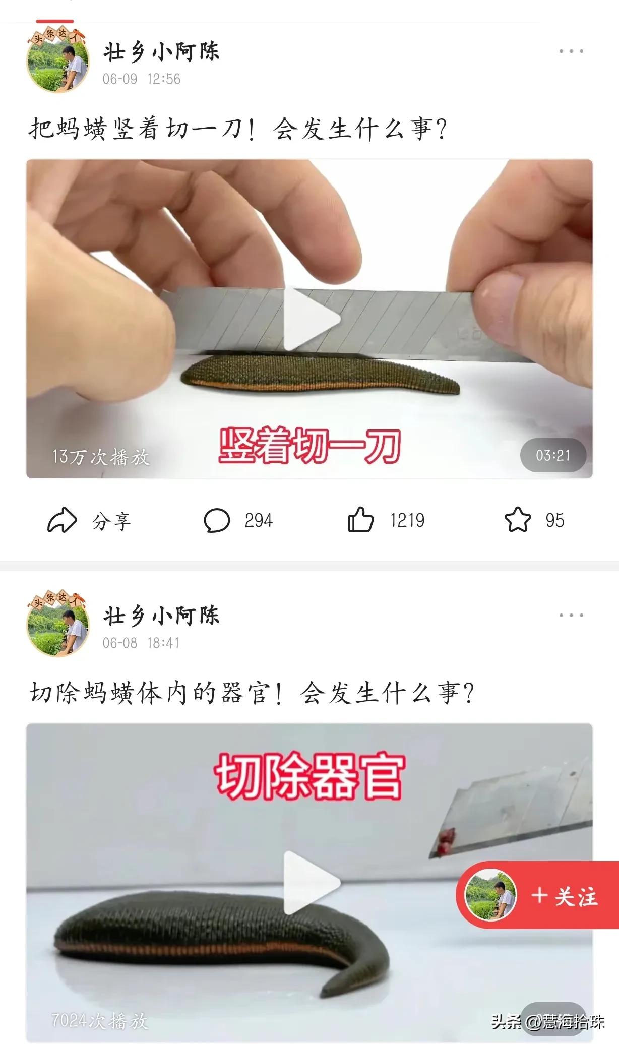 为什么有些人喜欢杀动物,为什么有人会虐猫或虐狗