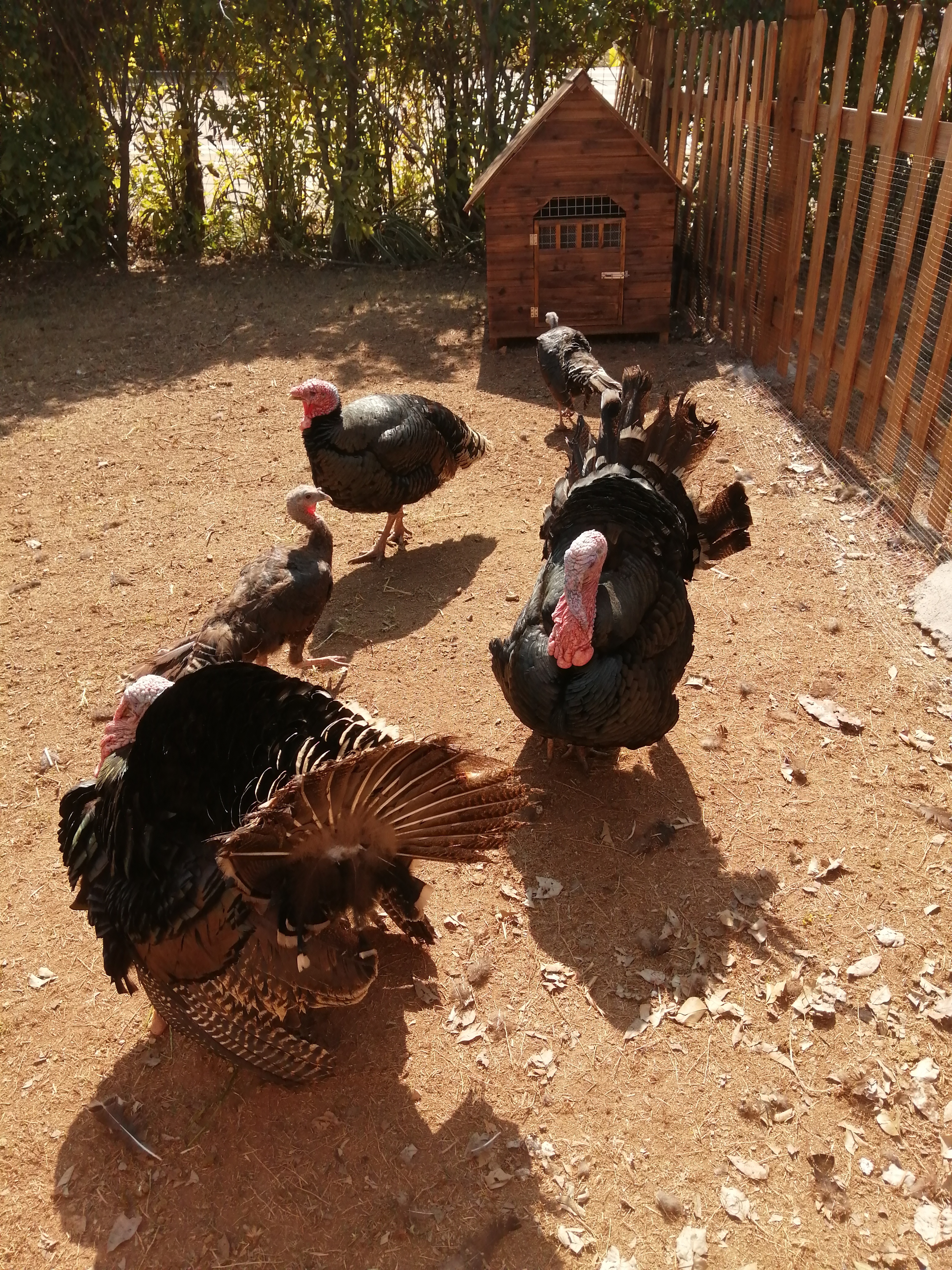 客天下(四):客天下田园花海CS战场山地车小朋友玩得乐不思蜀