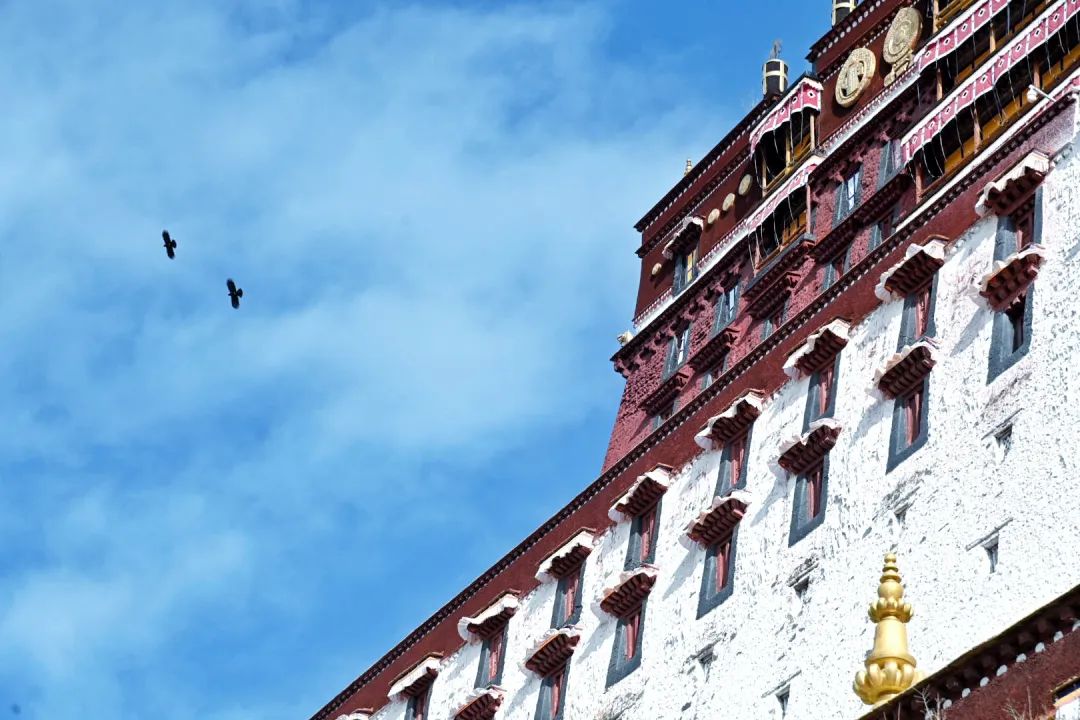 7月24日|浓浓援藏情，沪藏一家亲珠穆朗玛峰、扎什伦布寺9日“上海-日喀则”援藏旅游包机活动