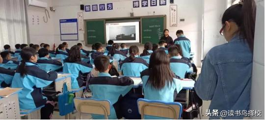 以评促学教研模式,以评促学和以评促优