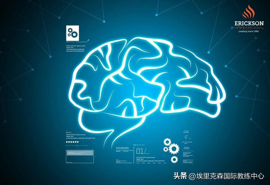 玛丽莲老师解读教练五大原则