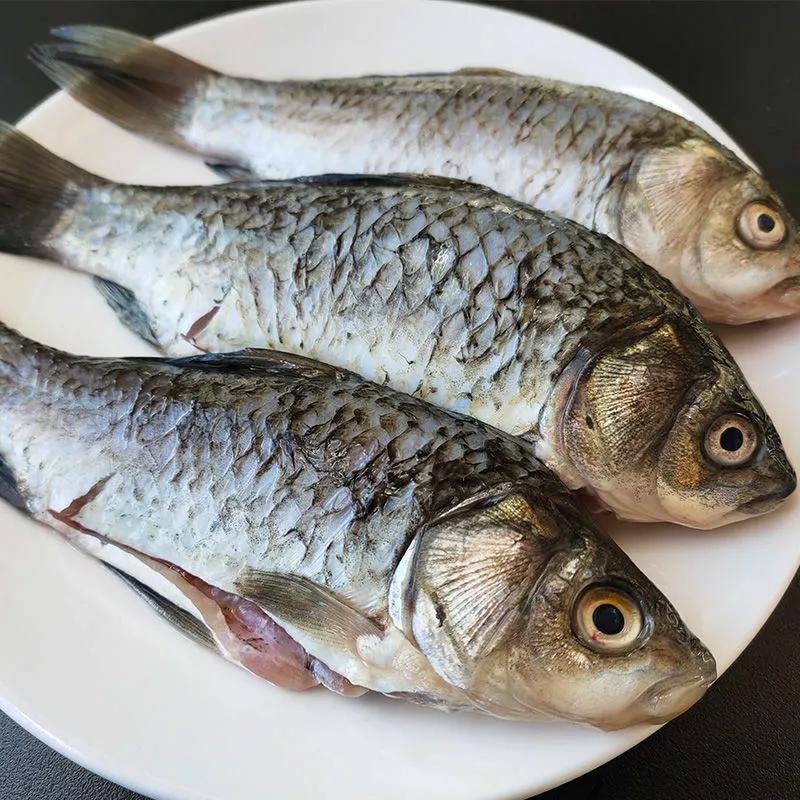 吃鱼内行人专挑这4种,冬天适合吃什么鱼刺少