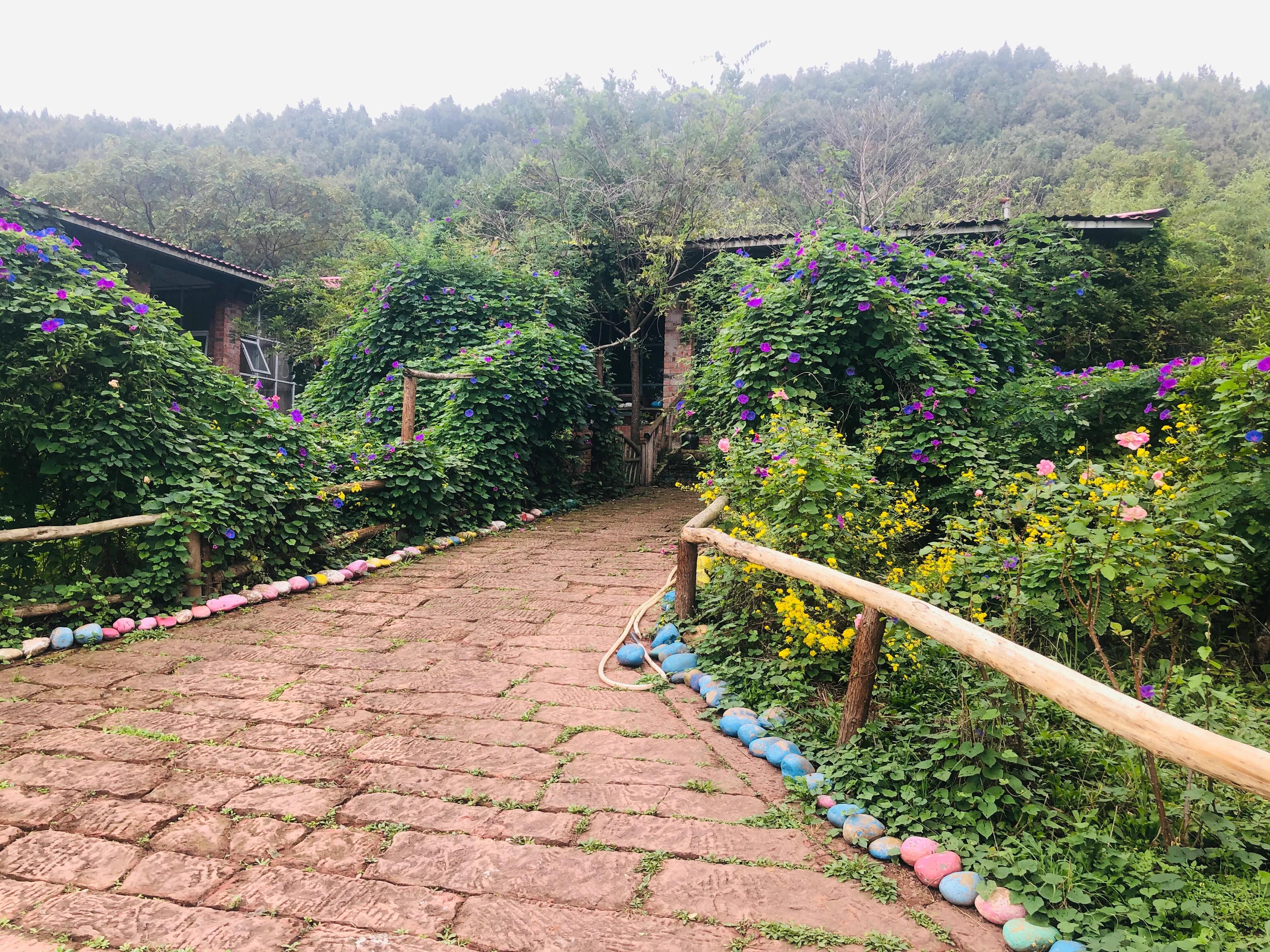 閲戝爞椴滆姳灞辫胺鍊煎緱鍘诲悧,閲戝爞椴滆姳灞辫胺娓歌