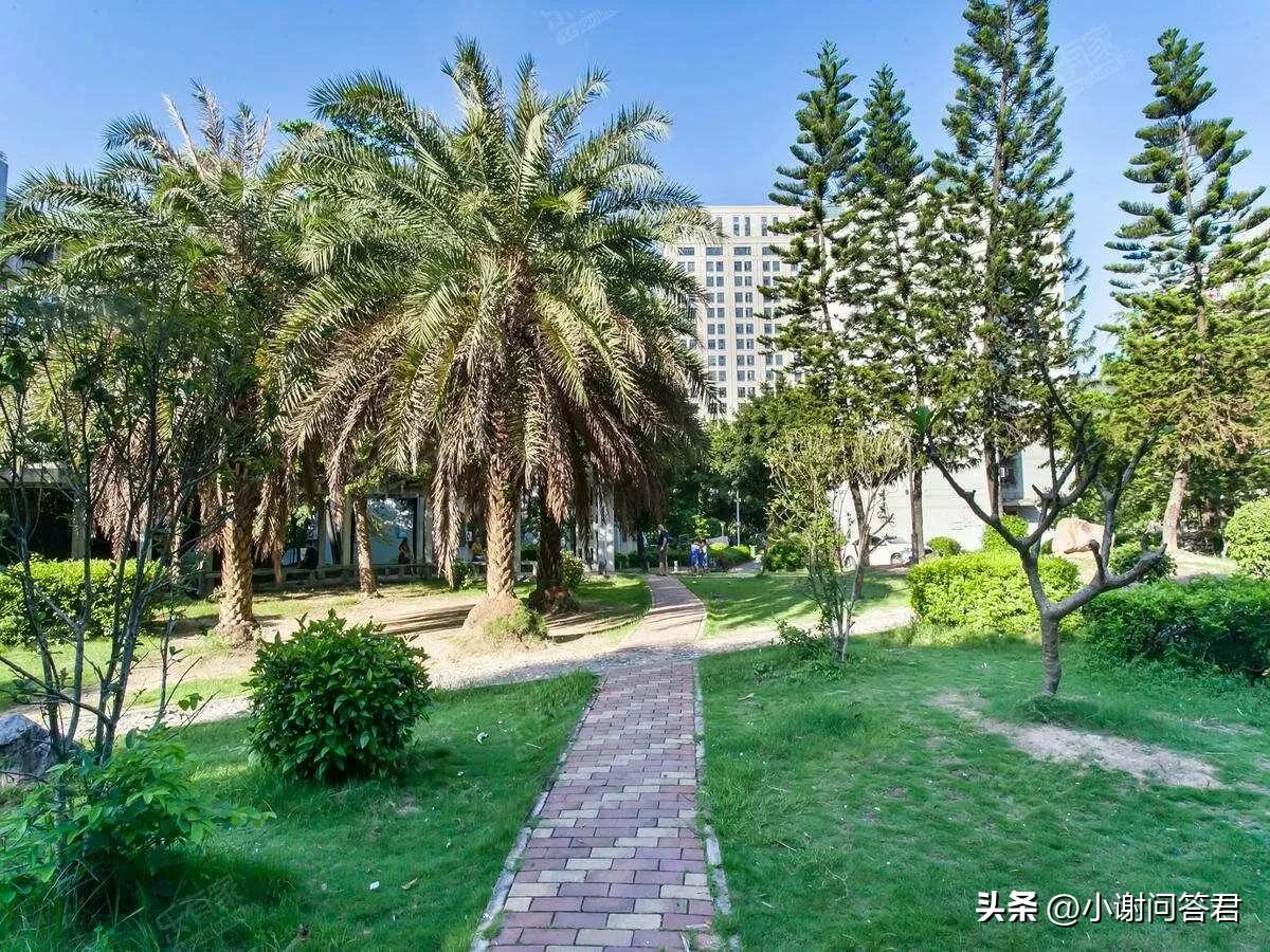 卖掉深圳房产赚了500万回老家,在深圳买一套房子卖了2600万