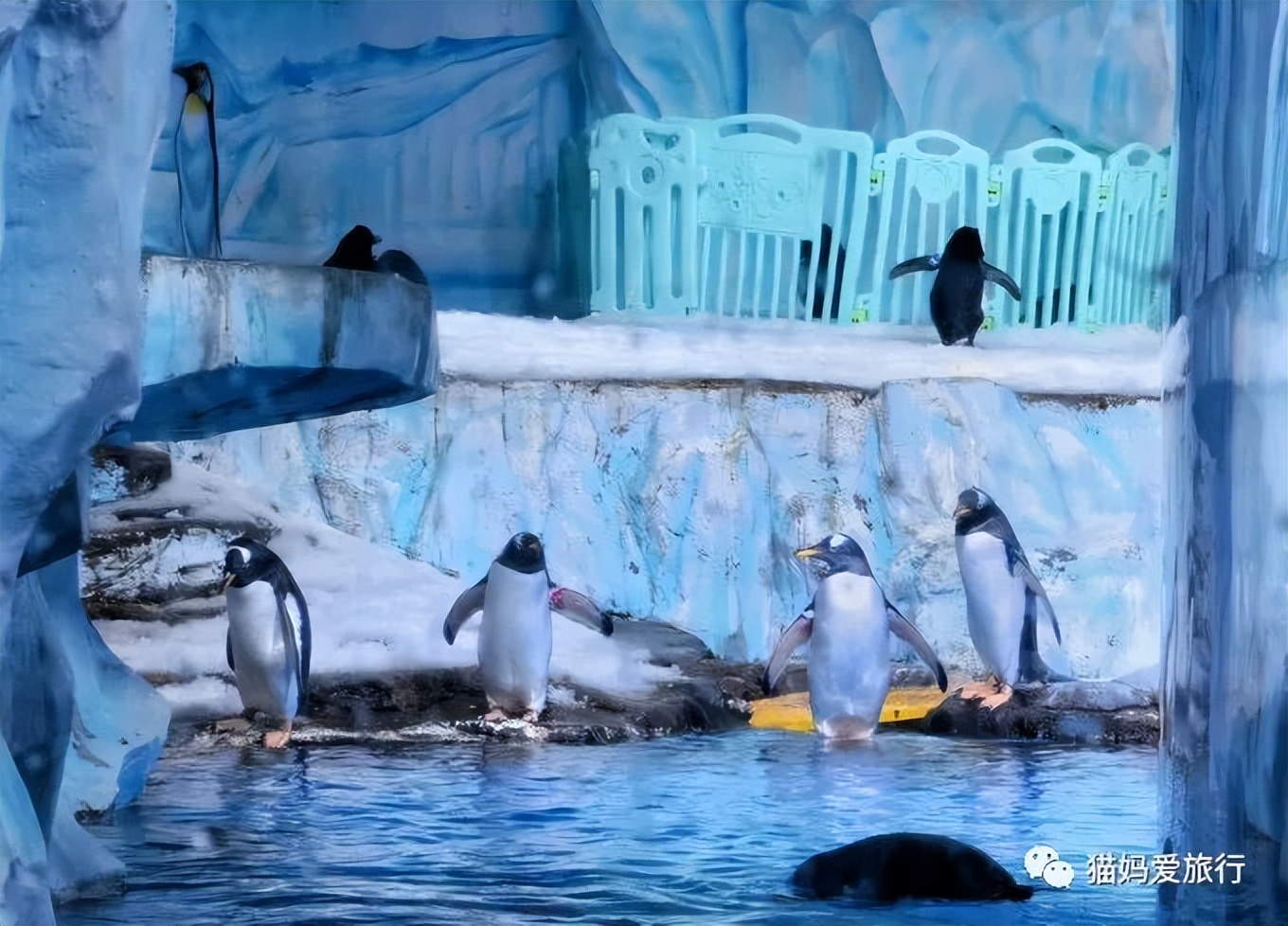 5天“趣”玩青岛，我的私藏遛娃路线
